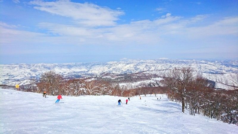 空も飛べる！長野「野沢温泉スキー場」