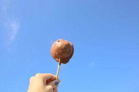 �X�C�[�c�₨�y�Y���I�C���m�C�B�K���[�i�̂������߃V���b�v5�I�̋L���T���l�C��