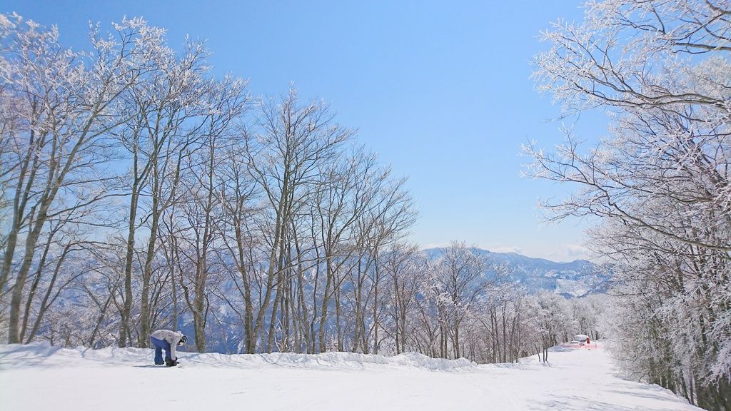 �㋉�҂͔񈳐�G���A�ŃX�L���A�b�v