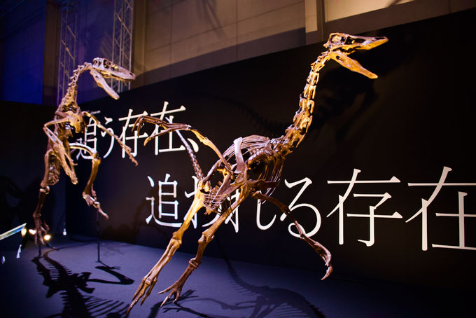 炷Eɖv