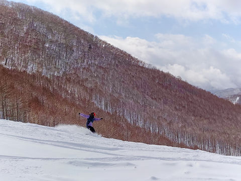 �����u�������X�L�[��v�ɏ�p�E�_�[�Ƒ��ʃR�[�X�Ń��s���o�I�̋L���T���l�C��