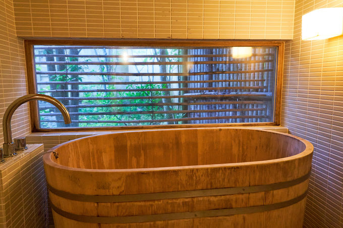 ���̔��͂����C�ł�������