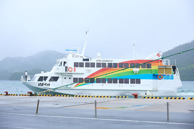 �{�y����A�N�Z�X�ǍD�̓���