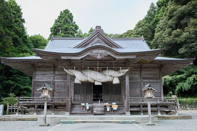 �_��I�ȕ��͋C�̉B�򏔓�