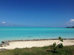 �������炻�̂܂܊C�ցI�^�q�` �{���{�����̐���o���K���[�ł��̏�Ȃ���l���ґ���̋L���T���l�C��