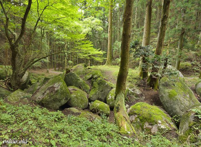 足利の神秘の景勝地 名草巨石群 清流に続く磐座の巨石めぐり 栃木県 Lineトラベルjp 旅行ガイド