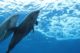 qԁI̗֓Vяꂨ10I eqŌiF̌̋LTlC