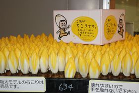 򕌁u葺vŏĒwƑlCrbtFyI̋LTlC