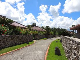 {Ó̑Ɨs͂ǂɔ܂H߃zeEh10I̋LTlC