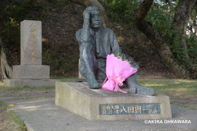 mIpōłh锪coꂪĂuGR_v̋LTlC