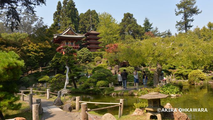 海に囲まれた美しい都市サンフランシスコで訪れるべき場所５選 アメリカ トラベルjp 旅行ガイド