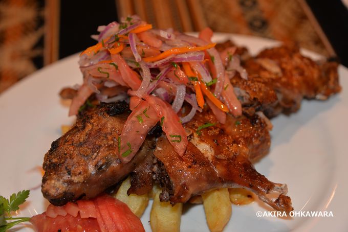 XgԃCJp`NeB[ʂƂE߂̖