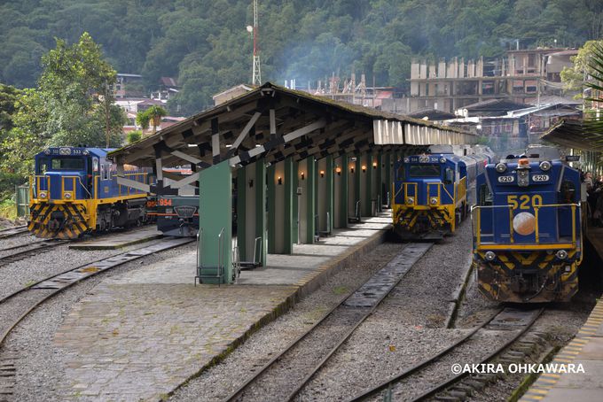 y[CCJC̓SԗIS}jAɂ͊Ȃ