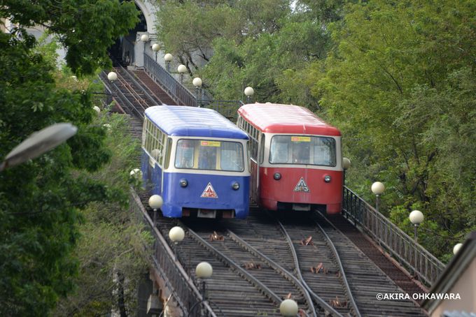 ��i���\�ł���h�̑��W�]��