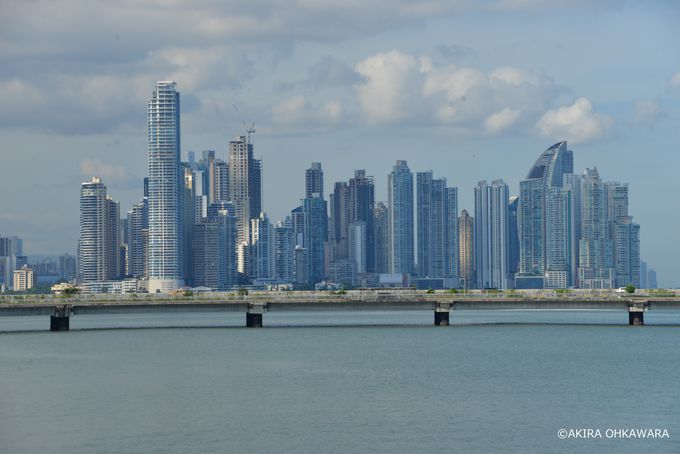 �t�����X�L��