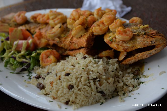 ���{�̉����Ō��݂��ꂽ���Y�s��