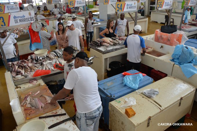 ���{�̉����Ō��݂��ꂽ���Y�s��