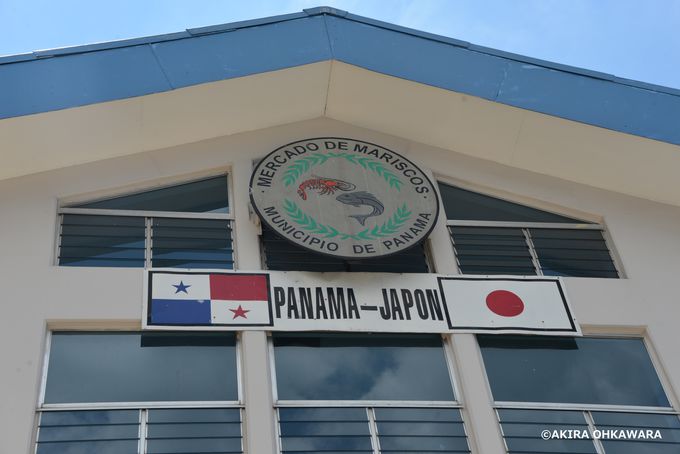 ���{�̉����Ō��݂��ꂽ���Y�s��