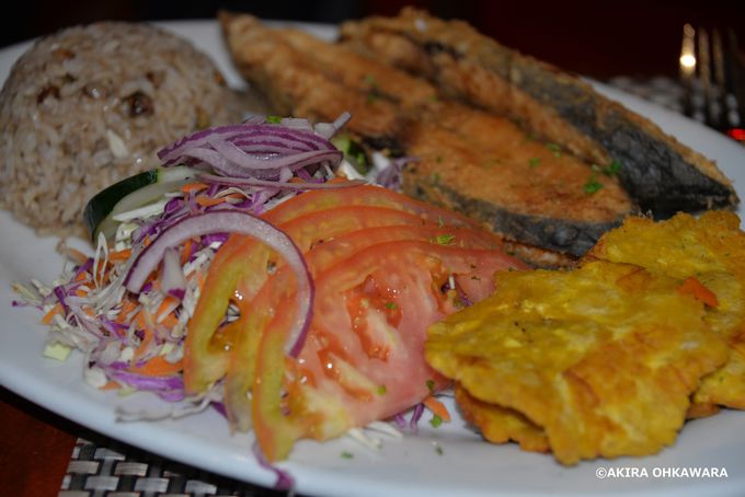 �������x���y���߂�u�f�B�A�u���[�R�X�v���X�g����