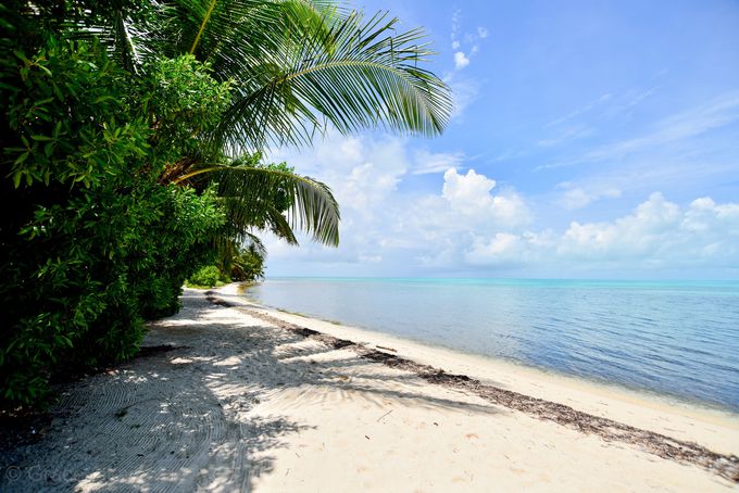 世界で最も美しいビーチの一つ、ハーフムーン島へのアクセス拠点
