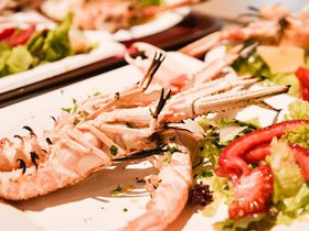 �\�Z�ʁI�t�B�����c�F�̔����������X�g�����������߂T�I�̋L���T���l�C��