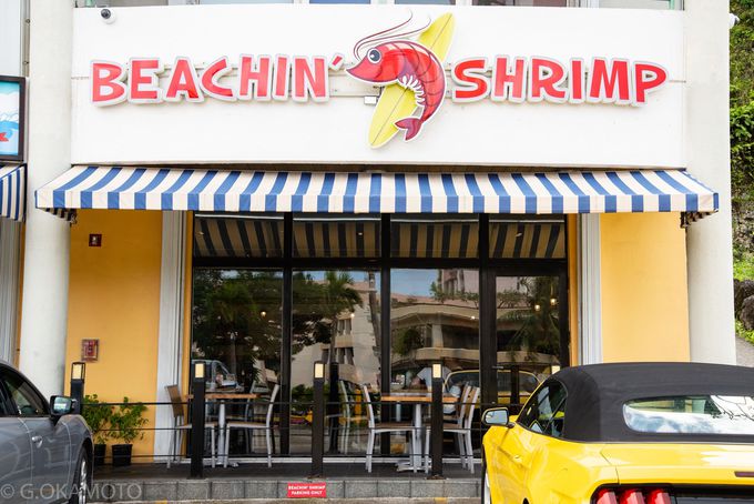 {CŔIGrsA̒nr[uBEACHINf SHRIMPv