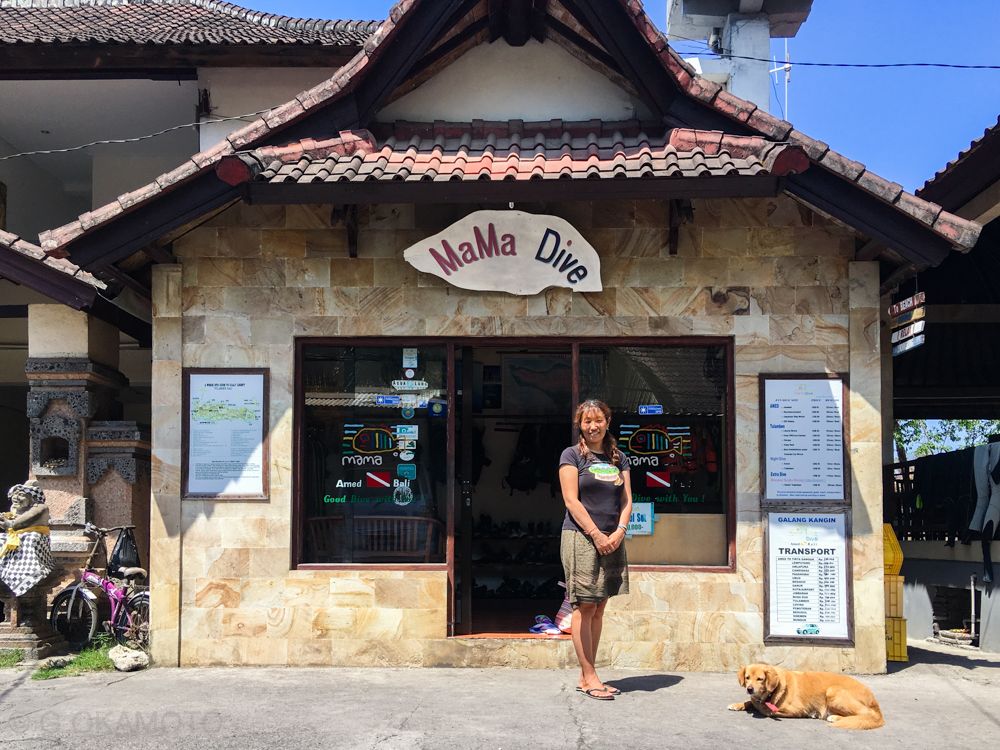 �o�����w�̃_�C�r���O�E�X�|�b�g�I�uMAMA DIVE�v�͓��{��ň��S