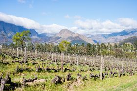 �㎿�ȃ��C�������H�̑�l���I��A�t���J�E�t�����V���t�b�N�ւ̋L���T���l�C��