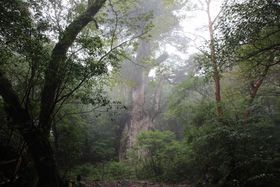 ꕶ5Ԃ̗Ivuꕶvɉɍs̋LTlC