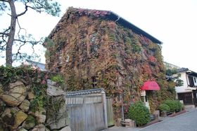 �q�~���ϒn��Ō|�p�ƃ��g���Q���ɐG��A���ق̎�Ă��ɒ���̋L���T���l�C��