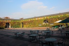 �q�~�a�ы��H��̗��j�����ɓ`����u�q�~�A�C�r�[�X�N�G�A�v�̋L���T���l�C��