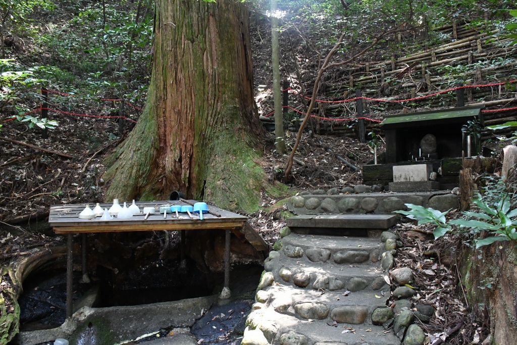 御神水が出る杉の木や七本杉のある天岩戸東本宮