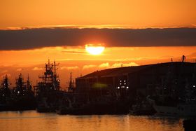 HƐE̗[ɊHɐہI̋LTlC