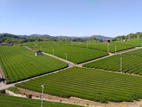 ��������̒��ǂ��딪���s�u�����咃���v���ό������ƃJ�t�F�ňꑧ�̋L���T���l�C��