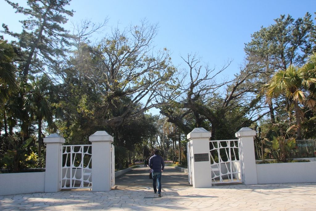 県立青島亜熱帯植物園の歴史を継承する正門から南国の世界へ