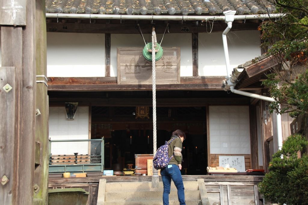 銀杏の絨毯で黄金色に染まる国宝 豊後高田市「富貴寺」の秋 | 大分県