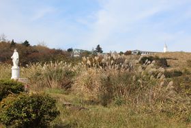 tVXREUrG̔畆Wu啪gsXgC@v̋LTlC