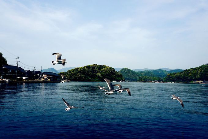 伊根の舟屋群・保存地区の景観を海と山から眺めよう