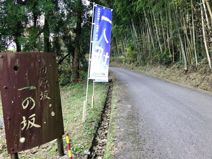 西郷どん ゆかり 西南戦争の激戦地 田原坂を歩く 熊本県 トラベルjp 旅行ガイド