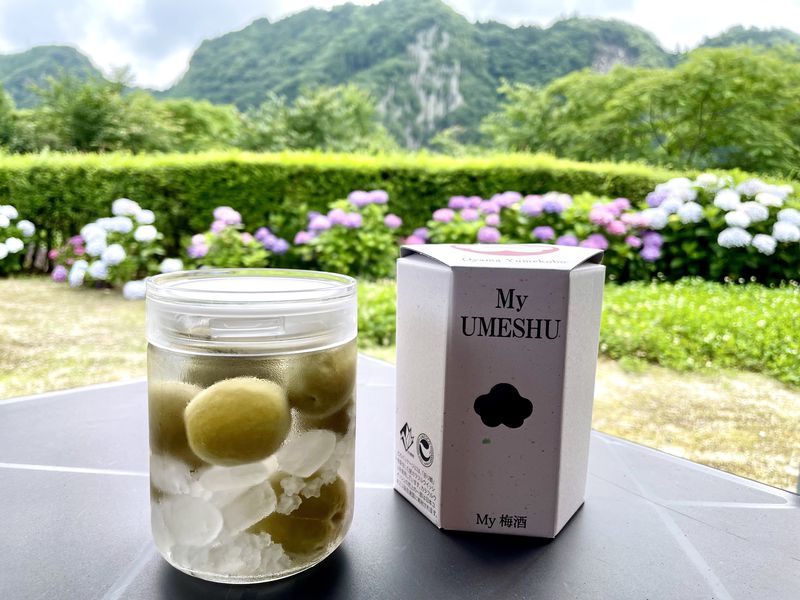 奥日田温泉で梅づくし！「梅酒蔵おおやま」で梅酒作り体験