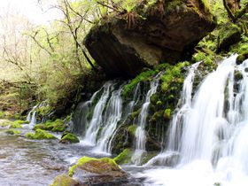 uꕚv͏Hc̃tHgWFjbNI̋LTlC