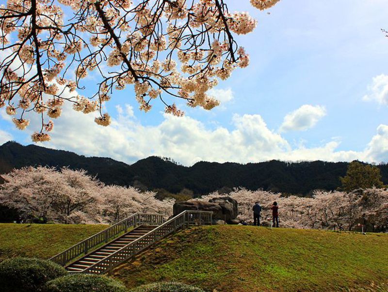 謎に包まれた巨石・奈良明日香村の「石舞台古墳」は桜の季節がオススメ！