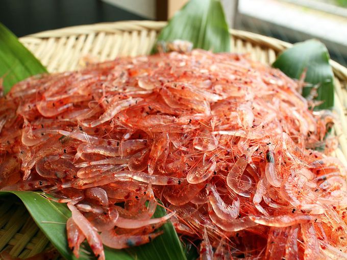 桜えび、金目鯛…静岡自慢の海鮮グルメを食べよう！