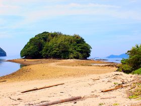 IREh哇̗̃p[X|bgu^{vCnΗA̋LTlC