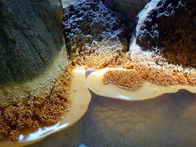 uԏ鉷zev͌Qn̂铒I򂪍X̉Ԃ̋LTlC