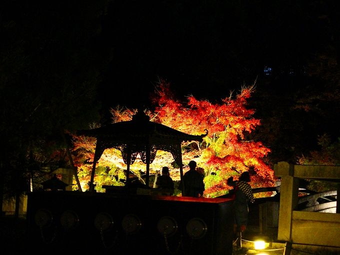 sꃆj[NȍgtCgAbvsȂm@