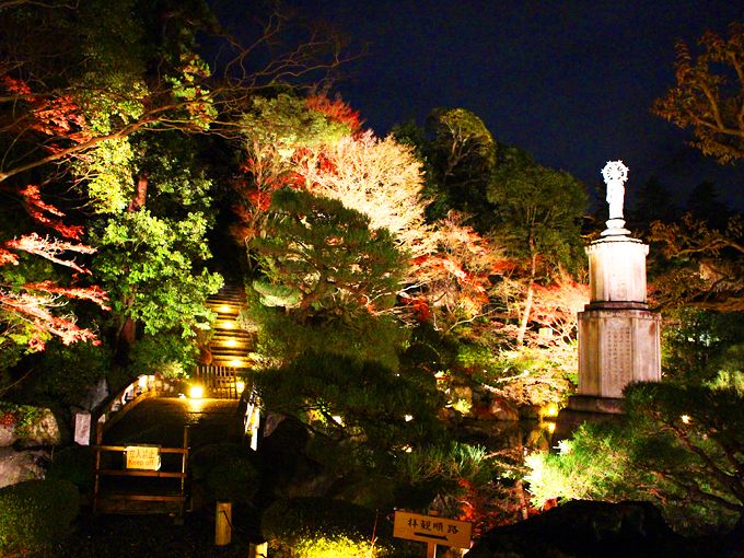 sꃆj[NȍgtCgAbvsȂm@