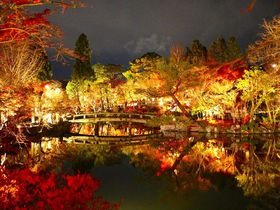 #ナムい も話題に！京都の紅葉、一晩で巡るライトアップ3選