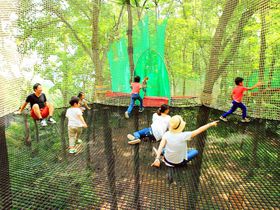 �������ӂŊy���߂�A�N�e�B�r�e�B��������10�I ���A��ł������Ղ�V�ׂ�I�̋L���T���l�C��