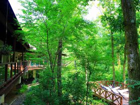 �_�ސ�̉B��Ɖ���Ȃ�R�R�I�����̐X�ɘȂށu�����`��`�v�̋L���T���l�C��